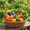 Красивый натюрморт с яркими свежими овощами и фруктами, аккуратно уложенными в корзину на фоне зеленого сада, подчеркивающий изобилие и урожайность дачного хозяйства