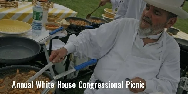 the annual white house congressional picnic in 2013 the annual white house congressional picnic in 2013