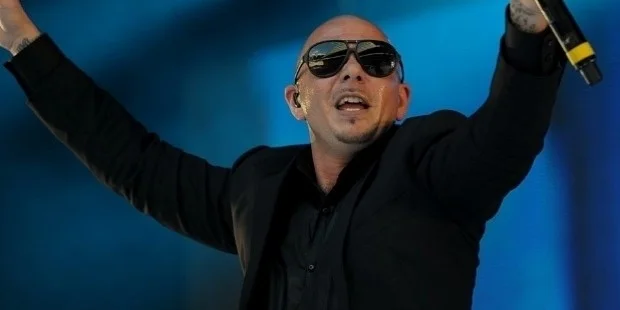 pitbull reputation pitbull reputation