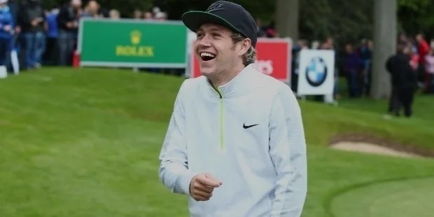 niall horan reputation niall horan reputation