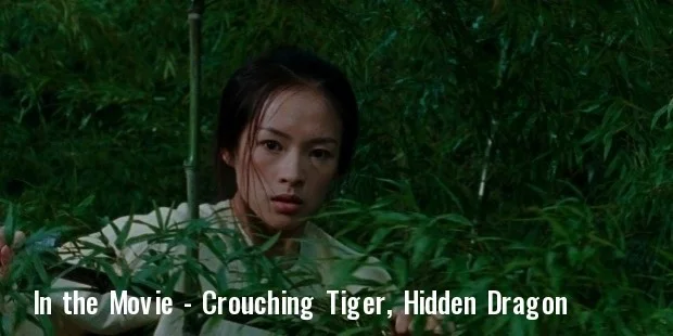 crouching tiger, hidden dragon crouching tiger, hidden dragon